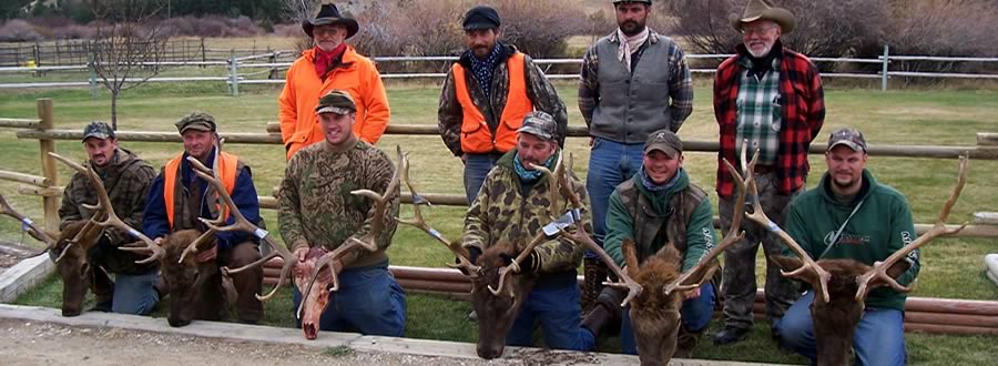 Photo of hunters with elk trophies after a successful hunt